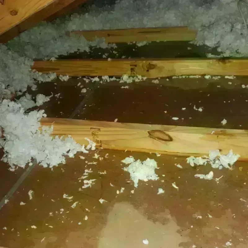 Attic Water Damage in Cedar Point, NC