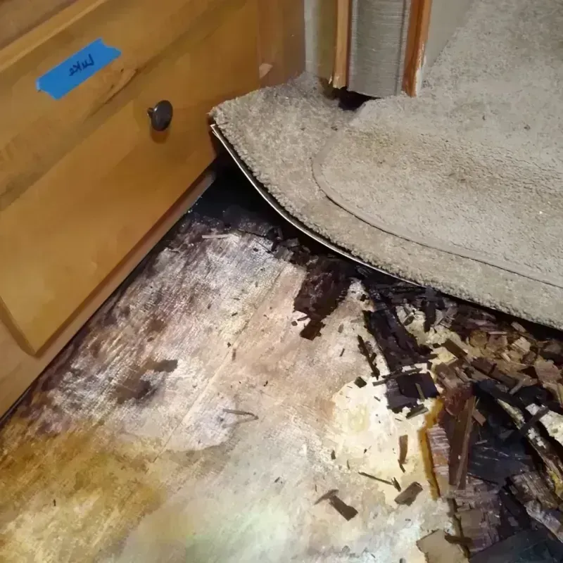 Wood Floor Water Damage in Cedar Point, NC